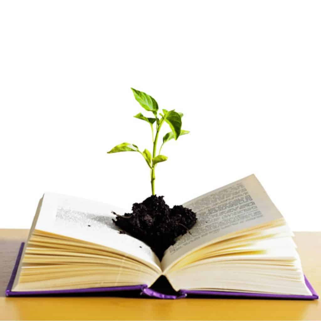 plant growing from book