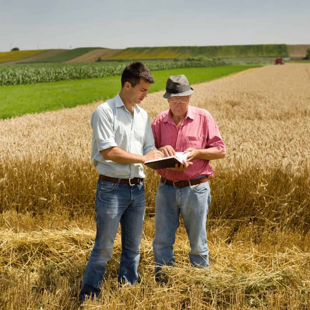 farmers reading in field