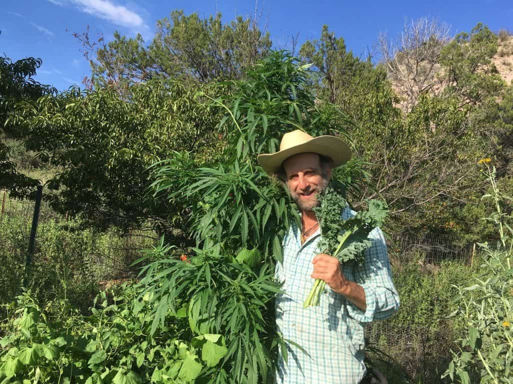 Doug Fine holds hemp and kale in his garden