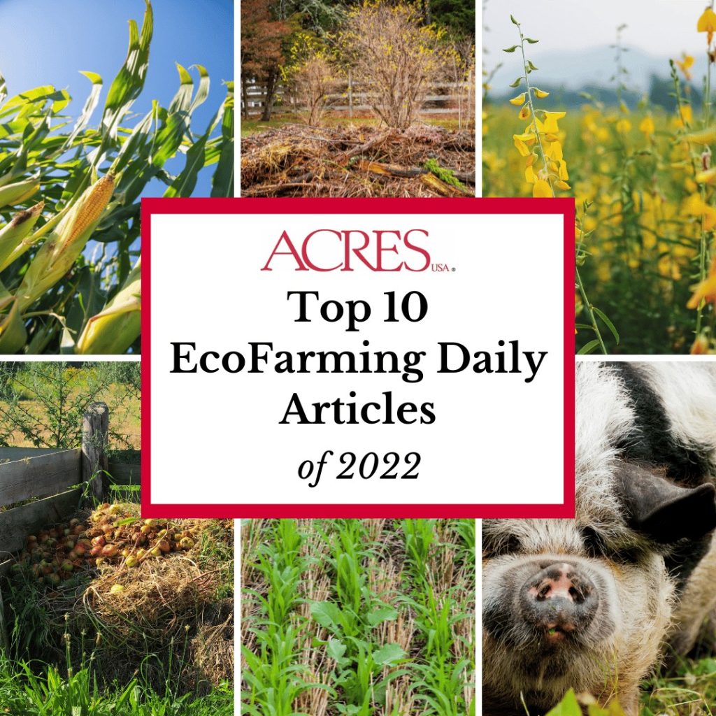 Top 10 EcoFarming Daily articles of 2022 graphic