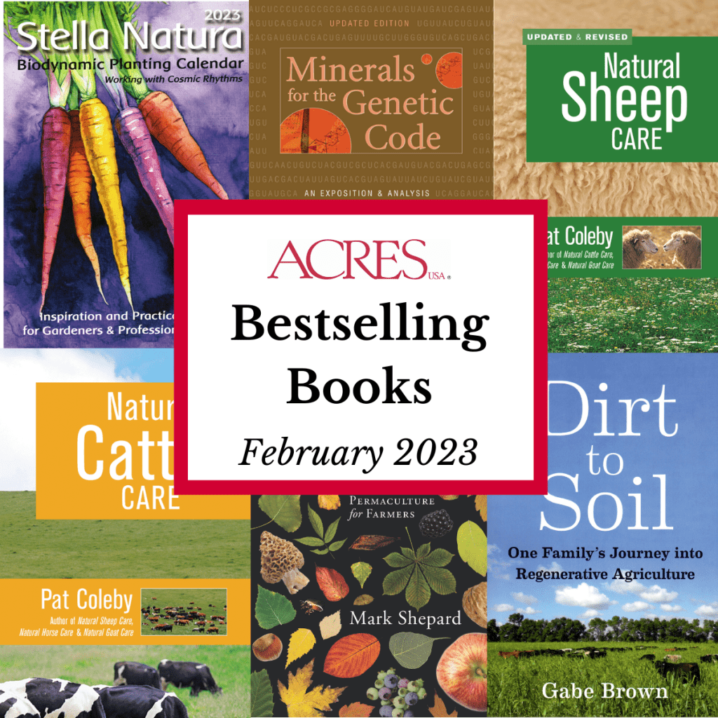 February 2023 bestsellers covers