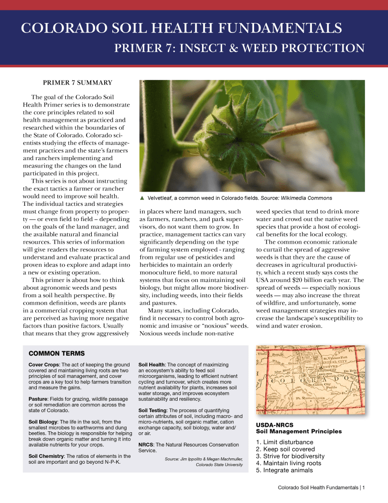 7-Colorado Department of Agriculture STAR Soil Health Primer - Insect Weed-min
