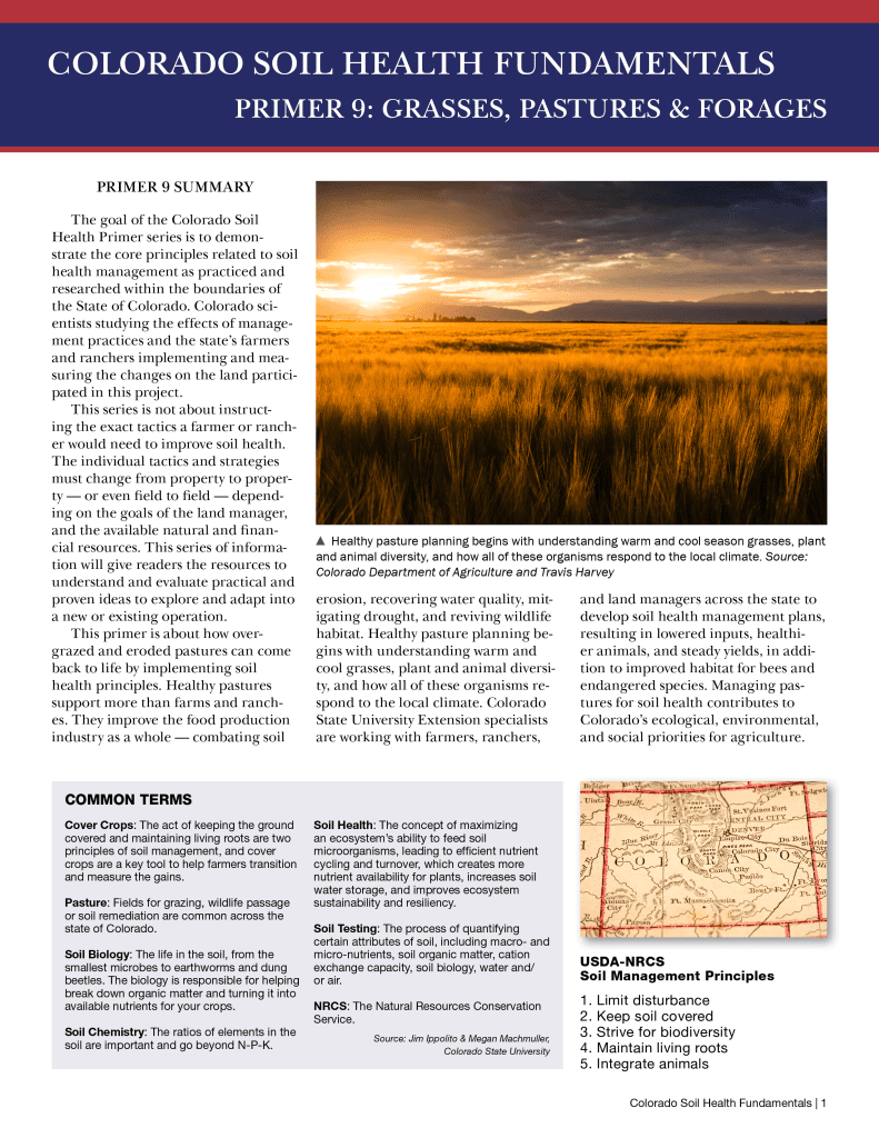 9-Colorado Department of Agriculture STAR Soil Health Primer - Grasses Pastures Forages-min